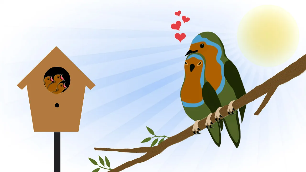 Bird Houses Help Breeding Birds