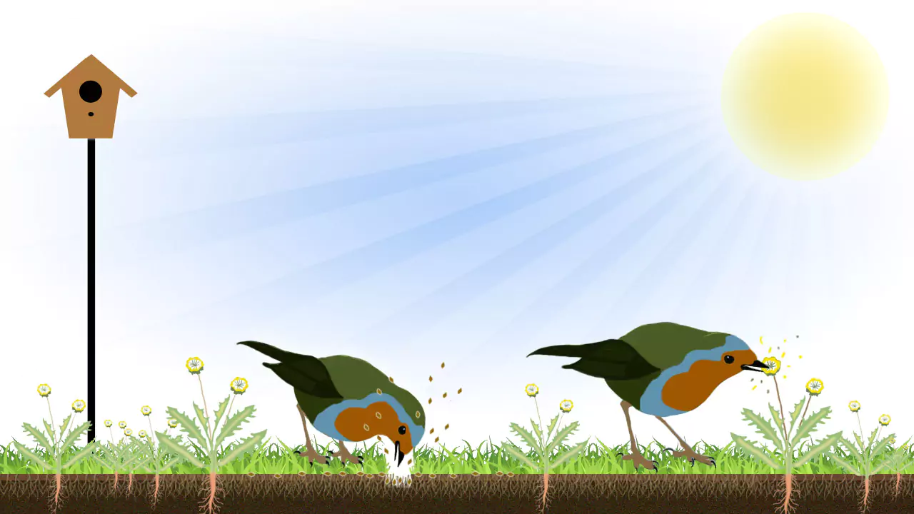Weed Control - Bird Houses & Weed Control