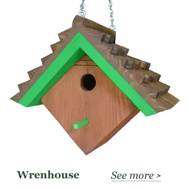 Painted Bird Houses