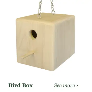 Unfinished Bird Houses